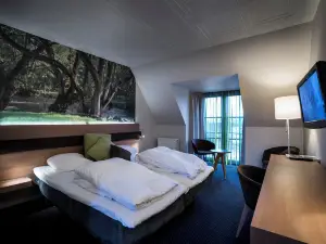 Hotel Birksø