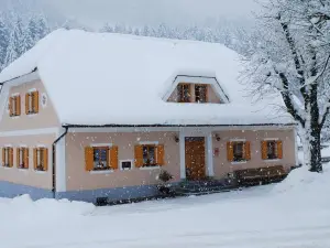 Farm Stay Rotovnik - Plesnik